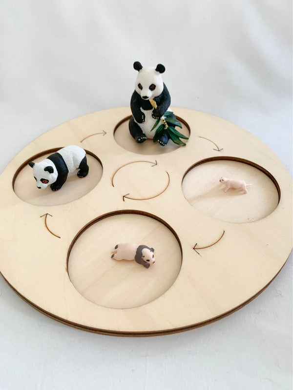 Cycle de vie du Panda