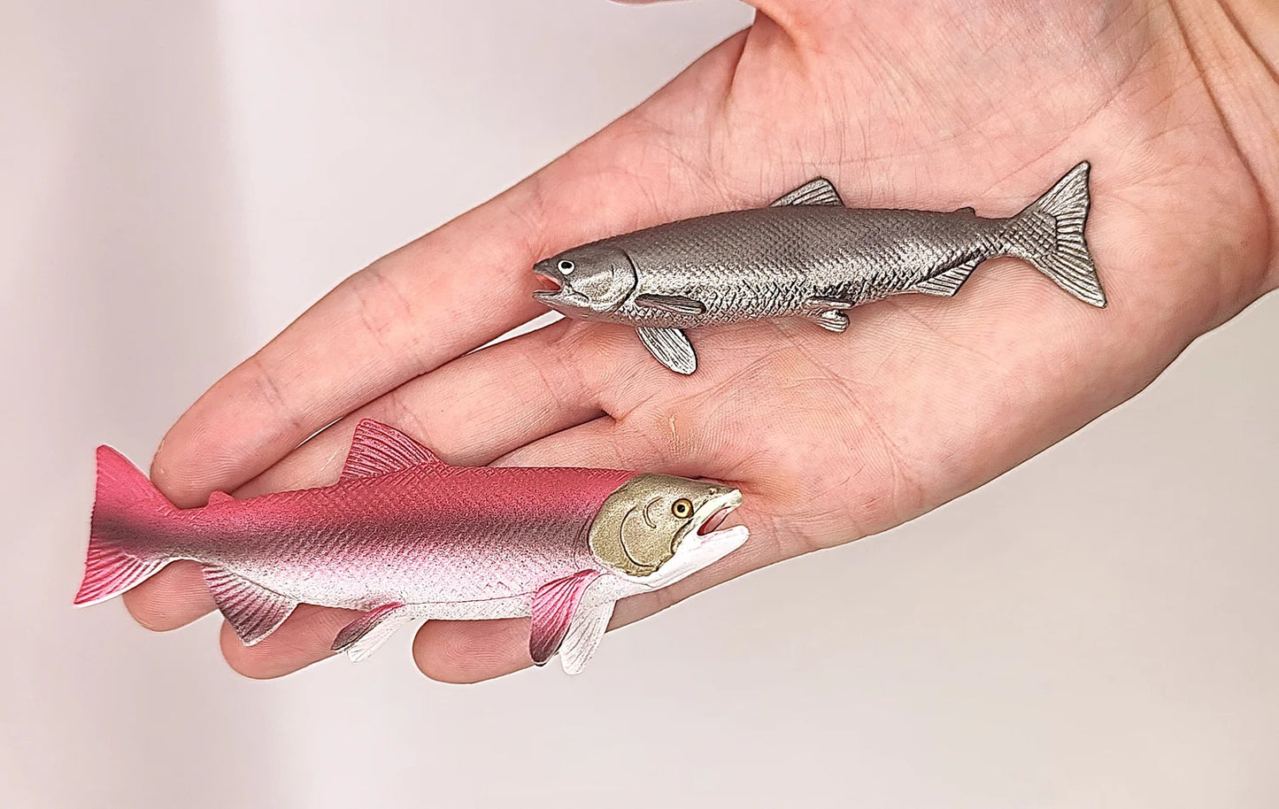 Figurines Cycle de Vie du Poisson Saumon Montessori