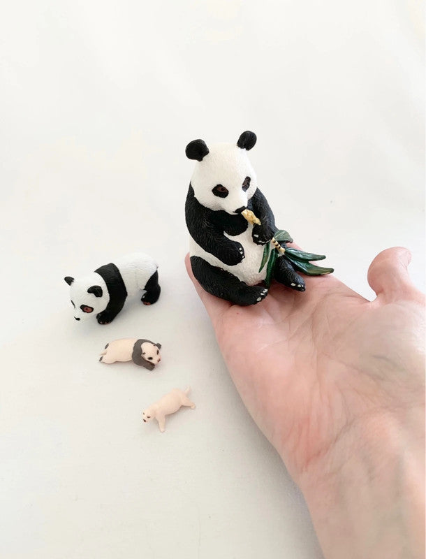 Cycle de vie du Panda
