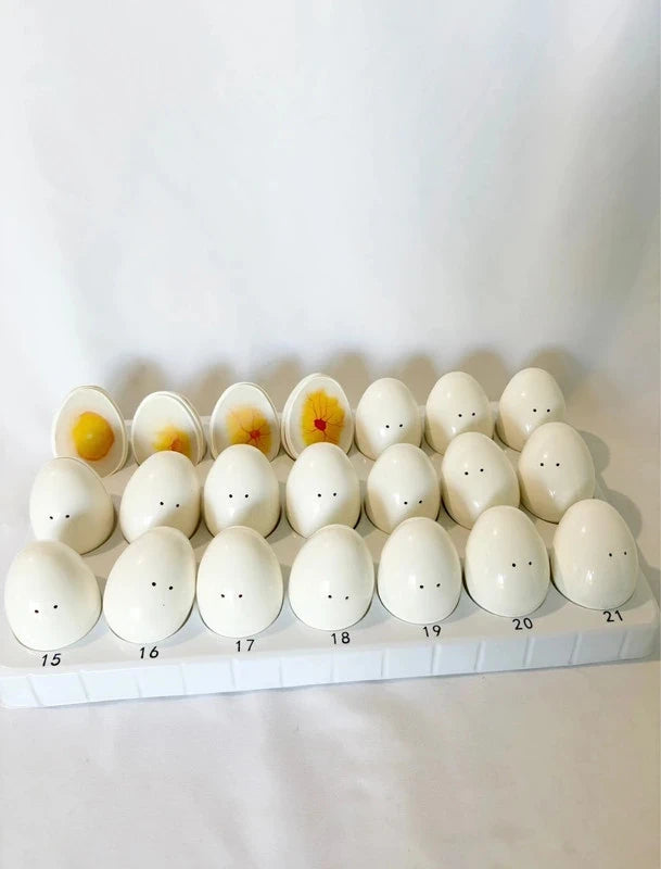 Cycle de vie du poussin – Incubation jour par jour