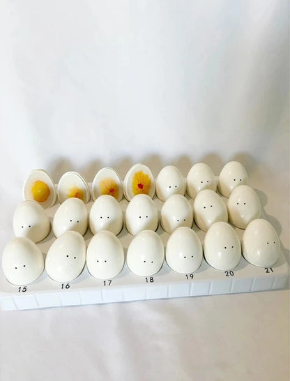 Cycle de vie du poussin – Incubation jour par jour