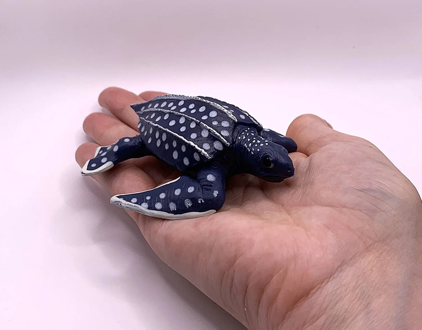 Figurines Cycle de Vie de la Tortue de Mer Montessori