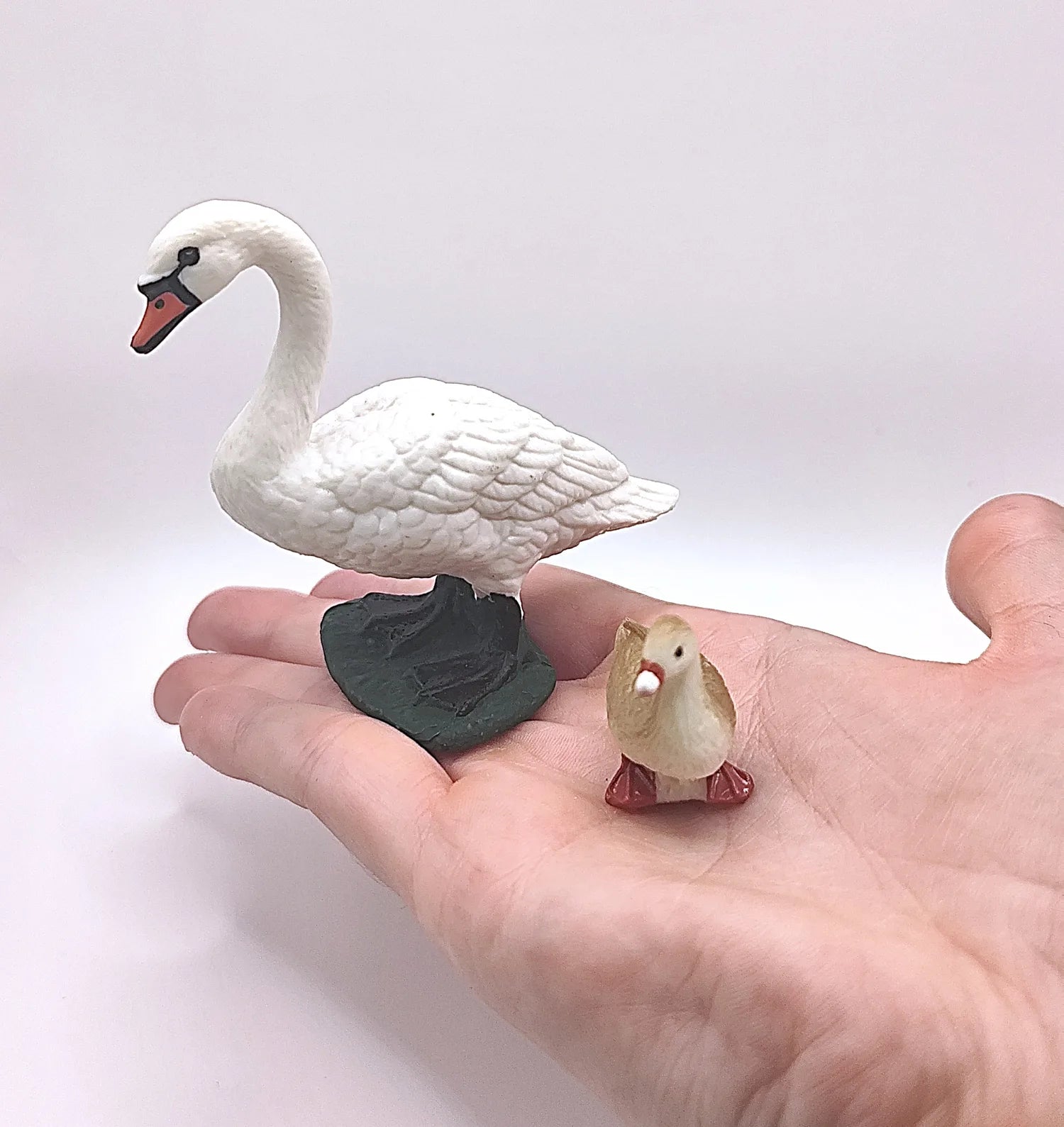 Figurines Cycle de Vie du Cygne Montessori