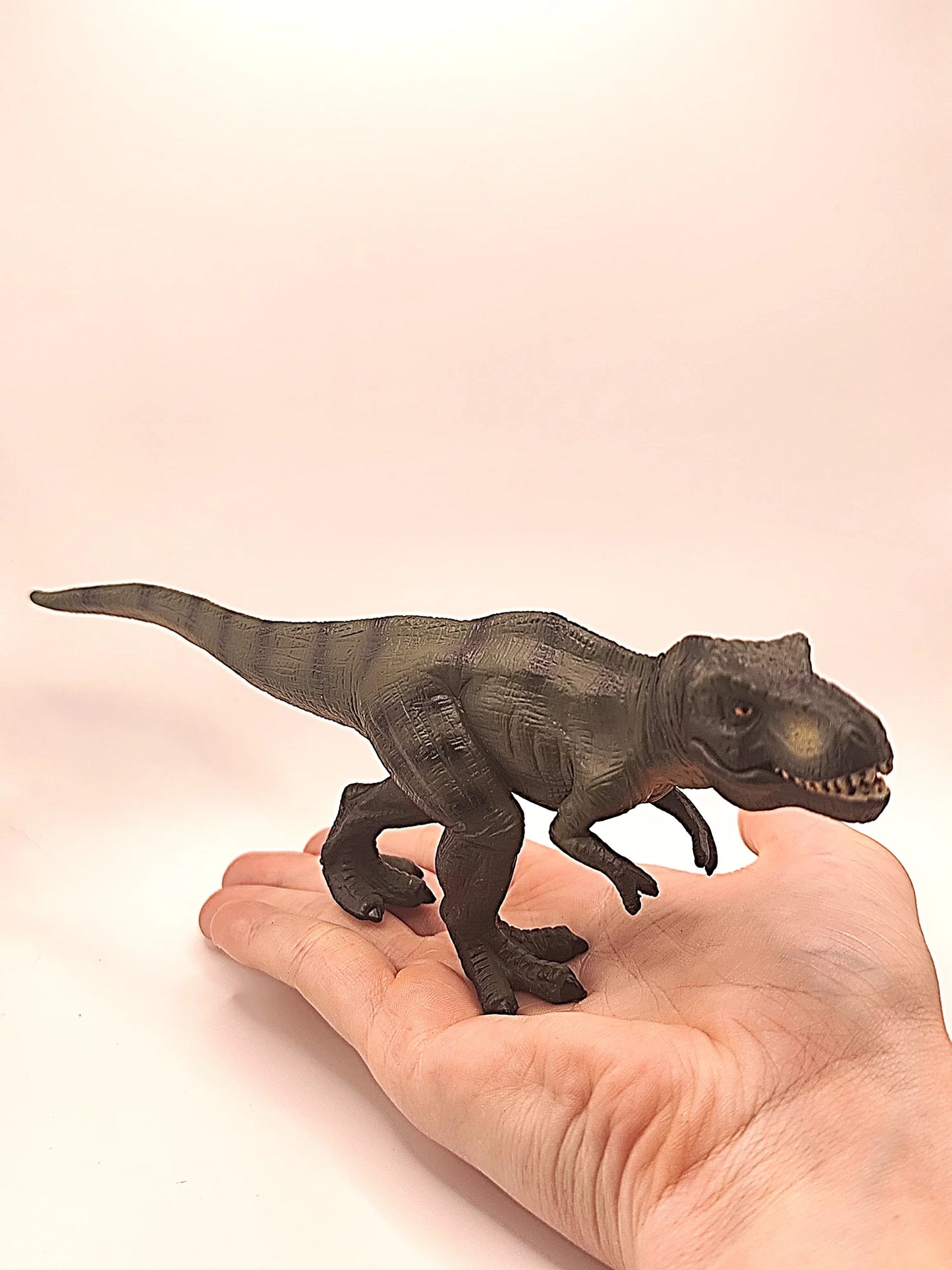 Figurines Cycle de Vie du Tyrex Montessori