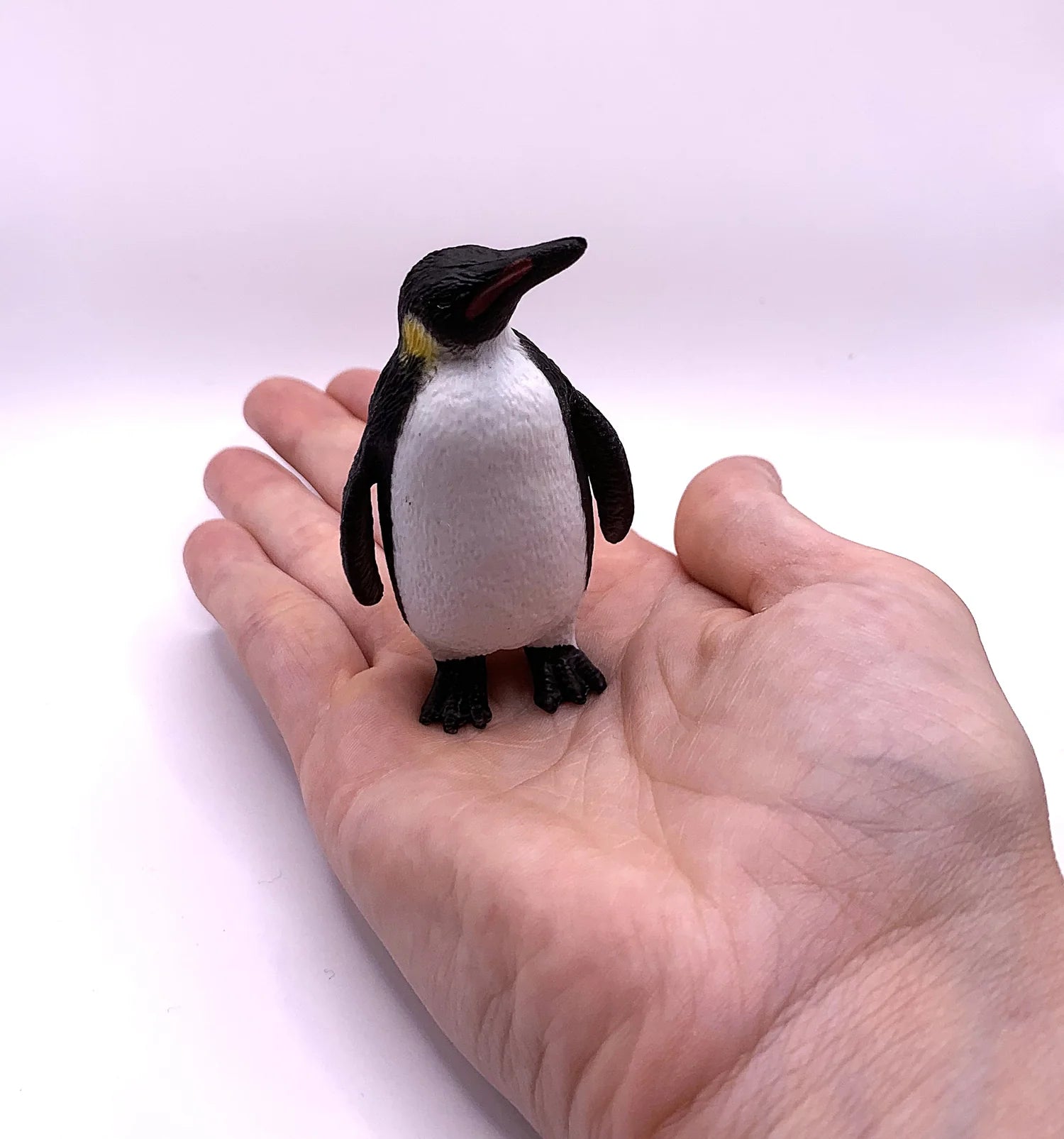 Figurines Cycle de Vie du Pingouin Montessori